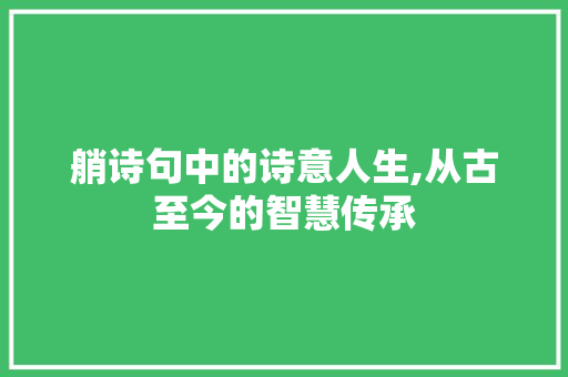 艄诗句中的诗意人生,从古至今的智慧传承