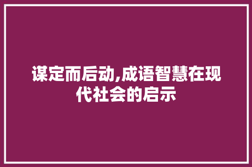 谋定而后动,成语智慧在现代社会的启示 商业计划书范文