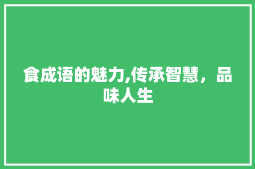 食成语的魅力,传承智慧，品味人生