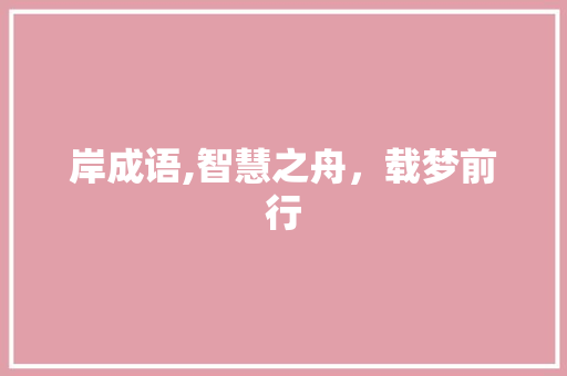 岸成语,智慧之舟，载梦前行