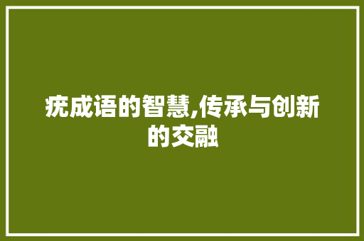 疣成语的智慧,传承与创新的交融