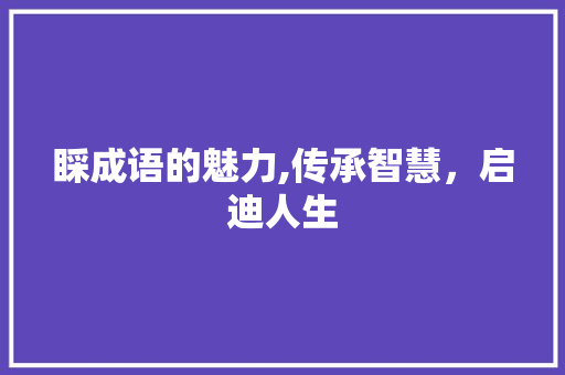睬成语的魅力,传承智慧，启迪人生 范文参考