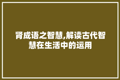 肾成语之智慧,解读古代智慧在生活中的运用