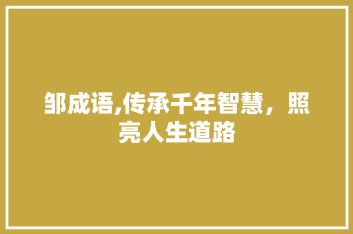 邹成语,传承千年智慧，照亮人生道路 范文宝典