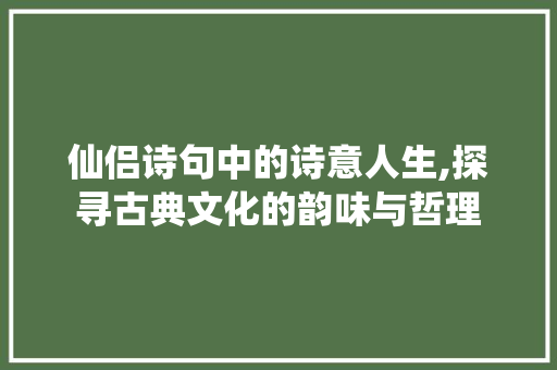 仙侣诗句中的诗意人生,探寻古典文化的韵味与哲理