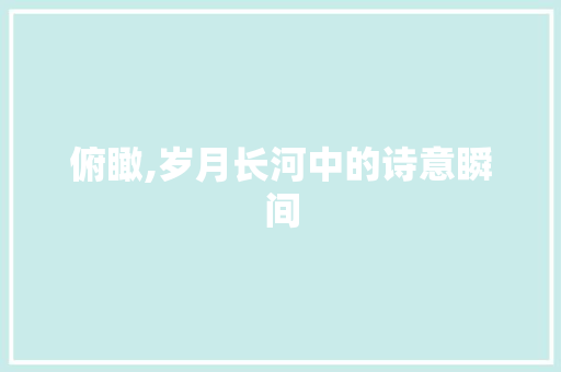 俯瞰,岁月长河中的诗意瞬间 商业计划书范文