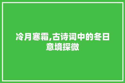 冷月寒霜,古诗词中的冬日意境探微 范文精选网