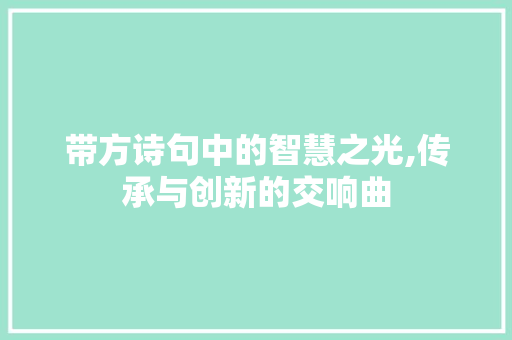 带方诗句中的智慧之光,传承与创新的交响曲 优秀范文