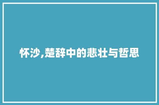怀沙,楚辞中的悲壮与哲思 商业计划书范文