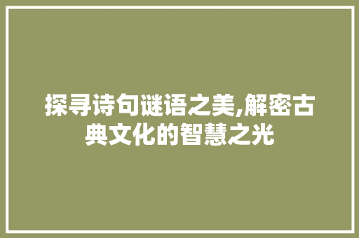 探寻诗句谜语之美,解密古典文化的智慧之光