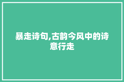 暴走诗句,古韵今风中的诗意行走
