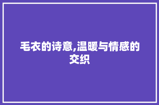 毛衣的诗意,温暖与情感的交织 范文资源