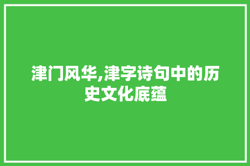 津门风华,津字诗句中的历史文化底蕴 商业计划书范文