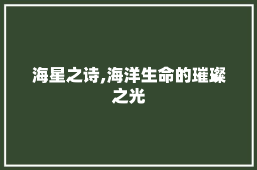 海星之诗,海洋生命的璀璨之光 优秀范文
