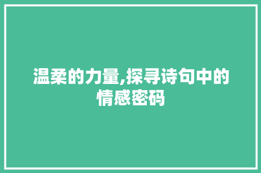 温柔的力量,探寻诗句中的情感密码 范文参考