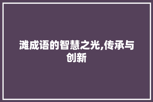 滩成语的智慧之光,传承与创新 商业计划书范文