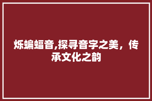 烁蝙蝠音,探寻音字之美，传承文化之韵