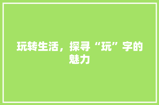 玩转生活，探寻“玩”字的魅力