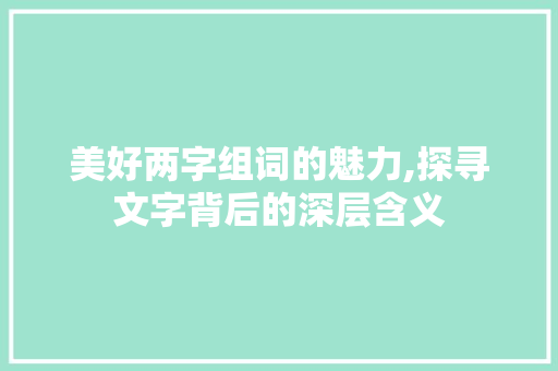美好两字组词的魅力,探寻文字背后的深层含义 商业计划书范文