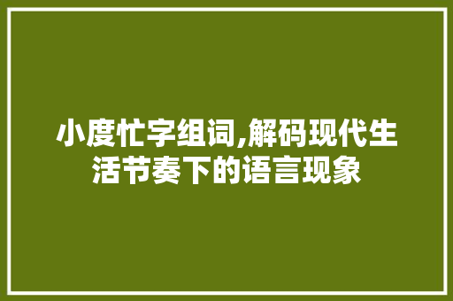 小度忙字组词,解码现代生活节奏下的语言现象