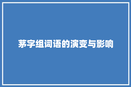 茅字组词语的演变与影响 职场应用