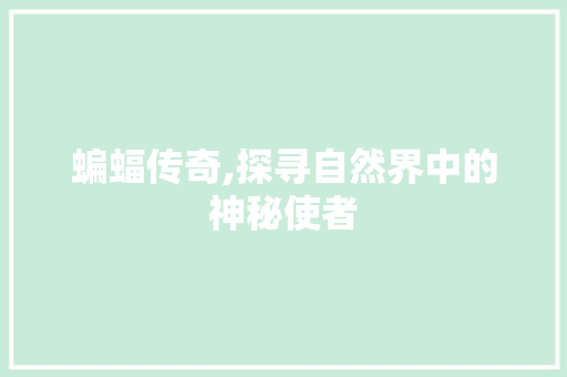 蝙蝠传奇,探寻自然界中的神秘使者