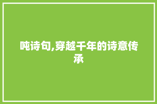 吨诗句,穿越千年的诗意传承
