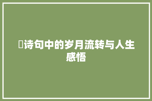 娢诗句中的岁月流转与人生感悟