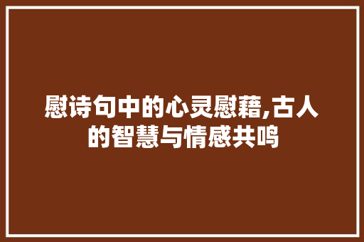 慰诗句中的心灵慰藉,古人的智慧与情感共鸣