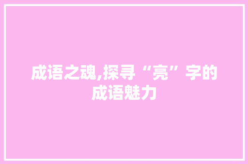 成语之魂,探寻“亮”字的成语魅力 范文精选网
