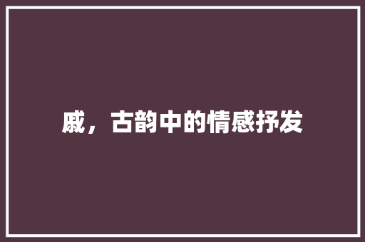 戚，古韵中的情感抒发 范文资源