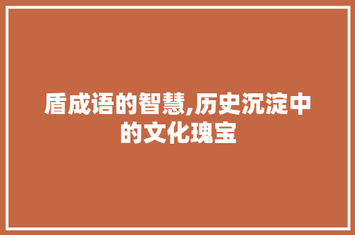 盾成语的智慧,历史沉淀中的文化瑰宝 范文参考