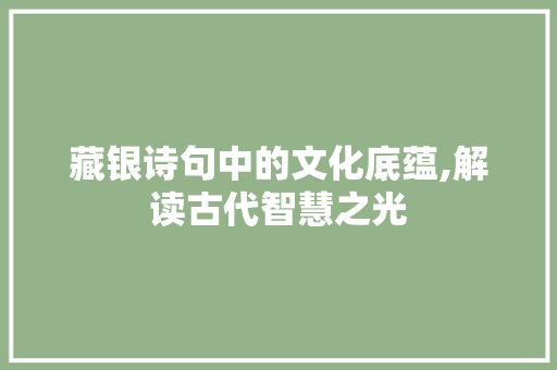 藏银诗句中的文化底蕴,解读古代智慧之光 优秀范文