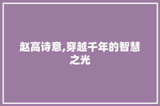 赵高诗意,穿越千年的智慧之光 范文参考