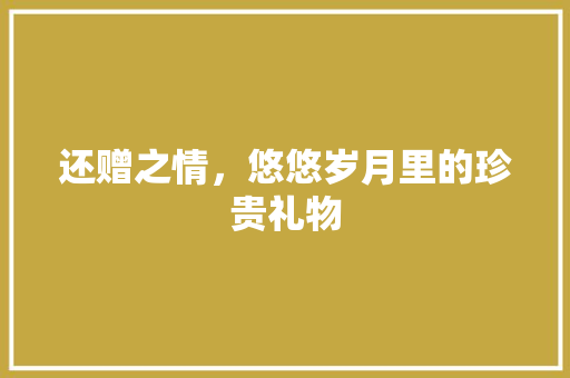 还赠之情，悠悠岁月里的珍贵礼物