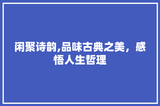 闲聚诗韵,品味古典之美，感悟人生哲理 范文参考