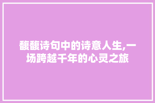 馥馥诗句中的诗意人生,一场跨越千年的心灵之旅