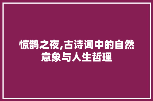 惊鹊之夜,古诗词中的自然意象与人生哲理