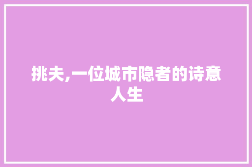 挑夫,一位城市隐者的诗意人生 优秀范文