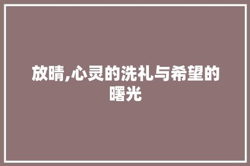 放晴,心灵的洗礼与希望的曙光