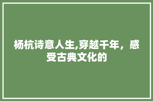 杨杭诗意人生,穿越千年，感受古典文化的