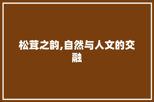 松茸之韵,自然与人文的交融 商业计划书范文