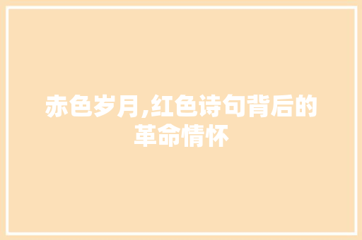 赤色岁月,红色诗句背后的革命情怀 范文参考