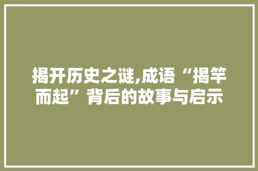 揭开历史之谜,成语“揭竿而起”背后的故事与启示 合同协议