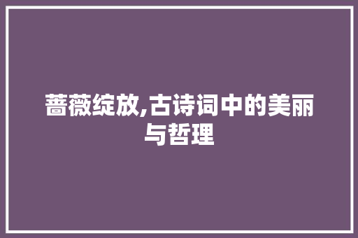 蔷薇绽放,古诗词中的美丽与哲理