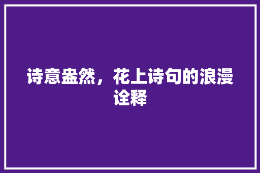 诗意盎然，花上诗句的浪漫诠释