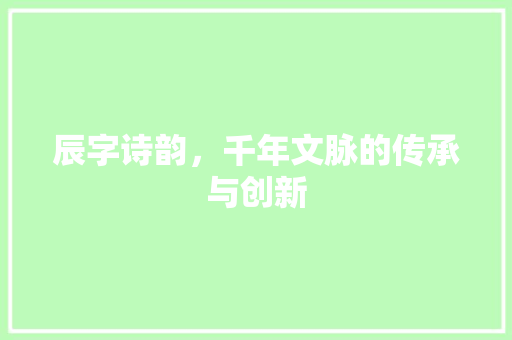 辰字诗韵，千年文脉的传承与创新 范文参考