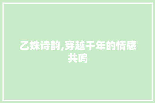 乙姝诗韵,穿越千年的情感共鸣 范文参考