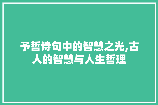 予哲诗句中的智慧之光,古人的智慧与人生哲理 范文宝典