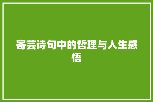 寄芸诗句中的哲理与人生感悟